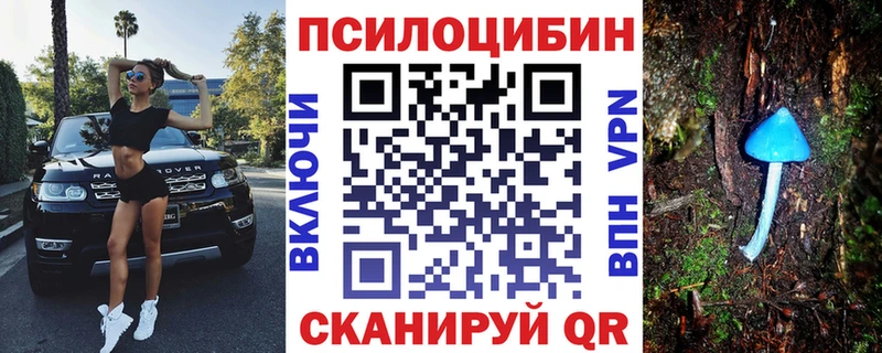 закладка Сортавала Псилоцибиновые грибы Psilocybe