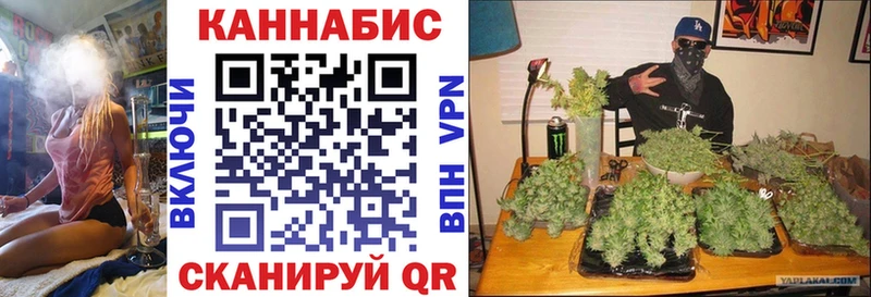 наркота  Сортавала  Конопля Bruce Banner 